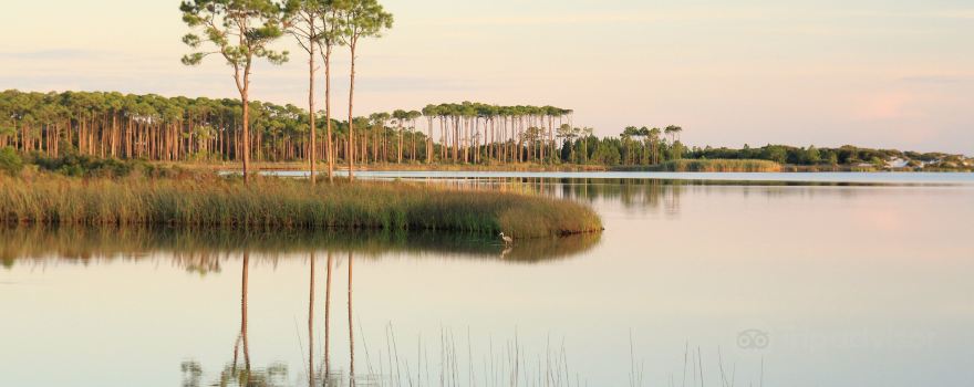 Walton County