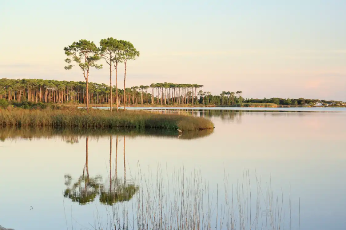 Hotels near Grayton Beach State Park