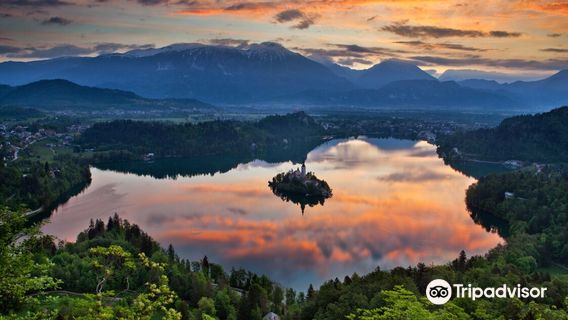 Bled