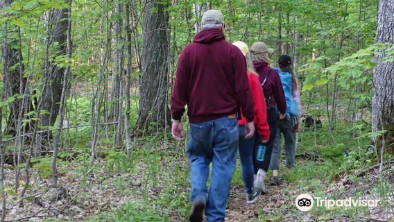 Hiawatha National Forest