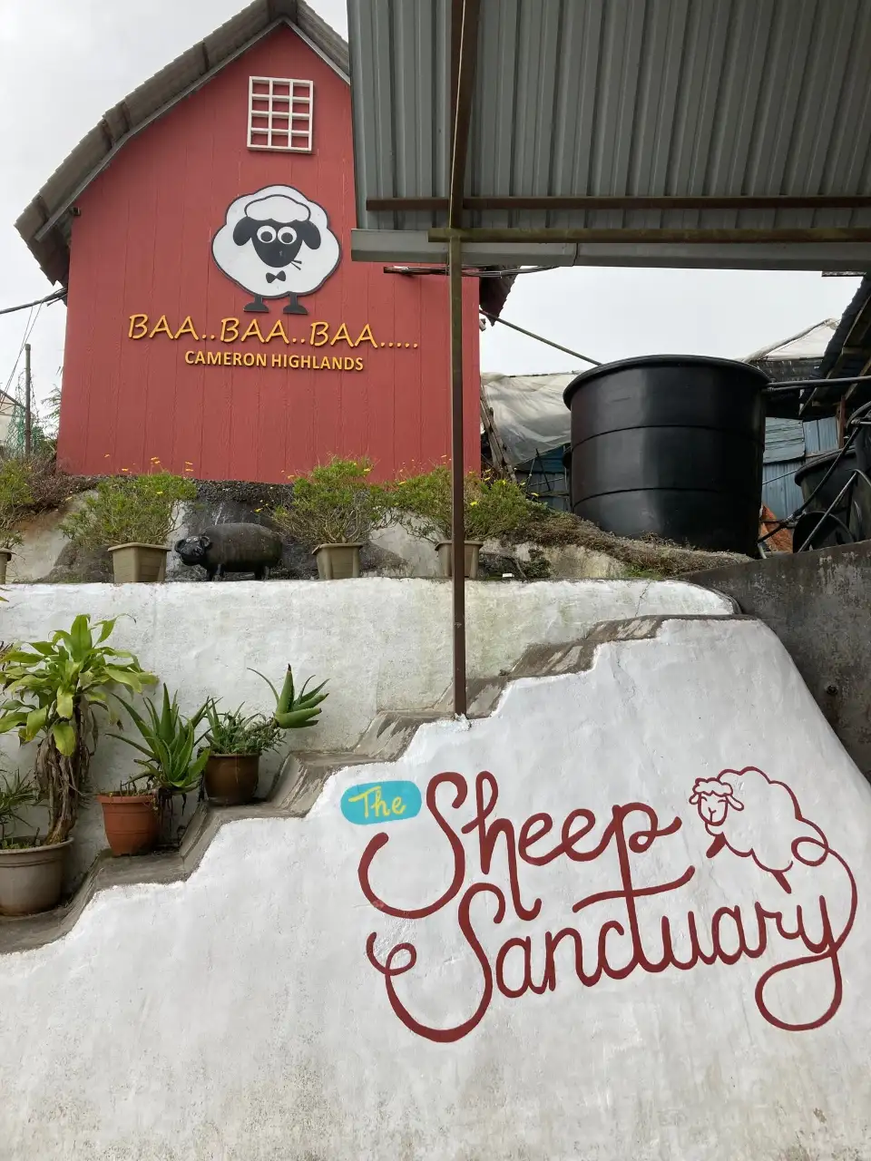 3_The Sheep Sanctuary