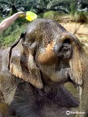Elephant Retirement Park Phang Nga
