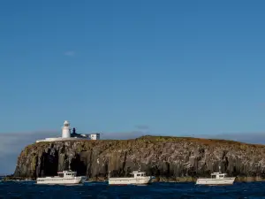 Serenity Farne Island Boat Tours
