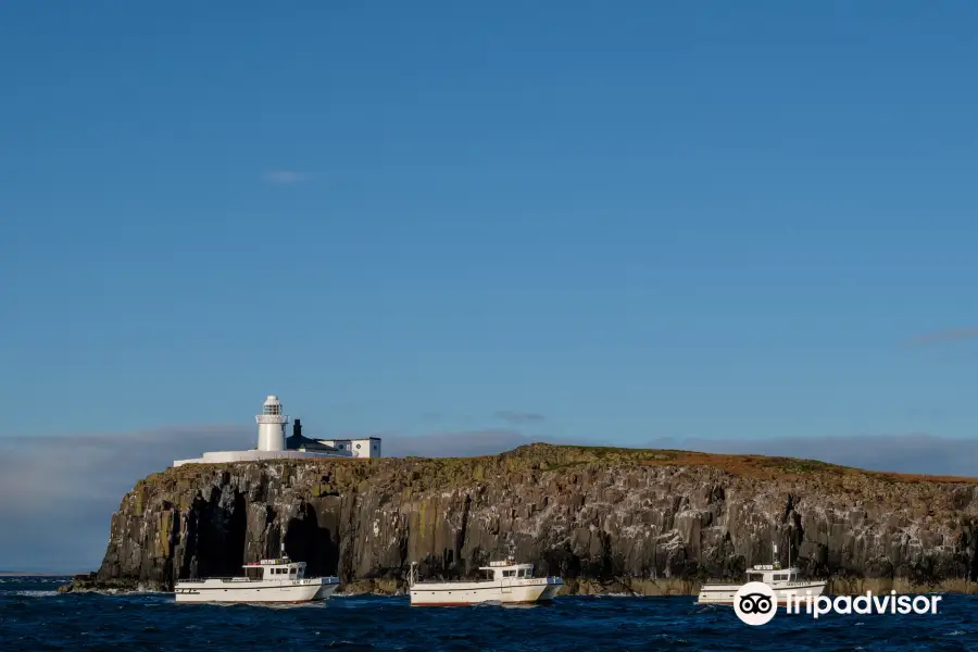 Serenity Farne Island Boat Tours