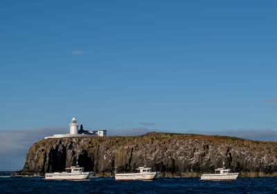 Serenity Farne Island Boat Tours