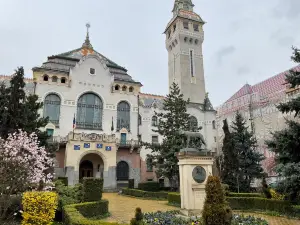Târgu Mureș Palace of Culture