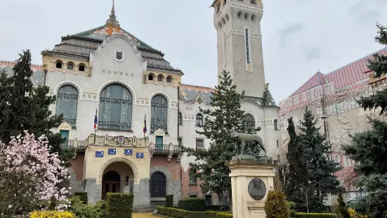 Târgu Mureș Palace of Culture