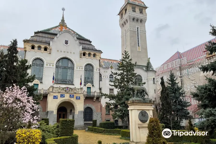 Târgu Mureș Palace of Culture