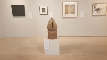 Museum of the University of Alicante