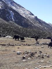 Nathula Pass