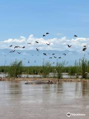 Rusizi National Park