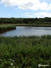 Port Sunlight River Park