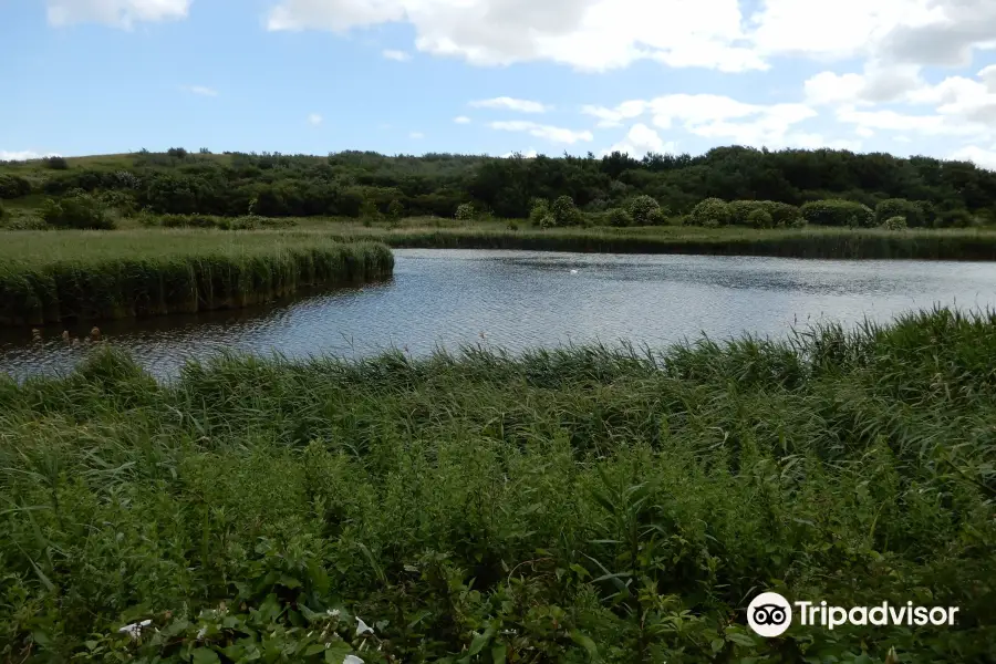 Port Sunlight River Park