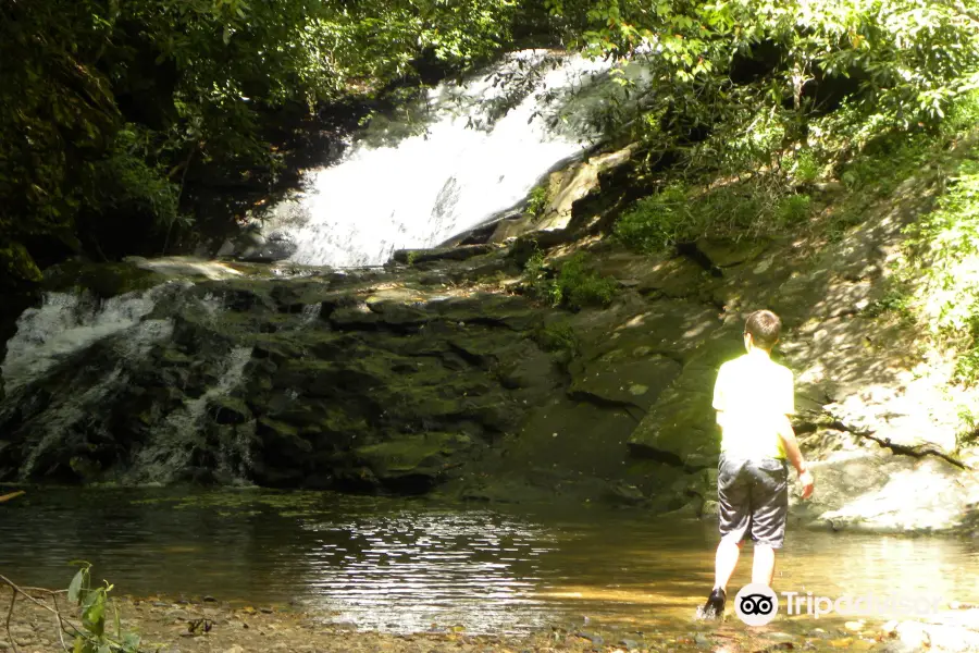 Sea Creek Falls