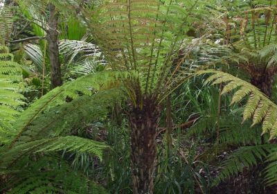 Jardin Exotique et Botanique de Roscoff