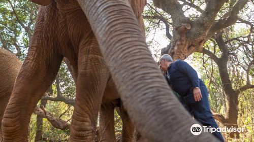 Elephant Sanctuary Hartbeespoort