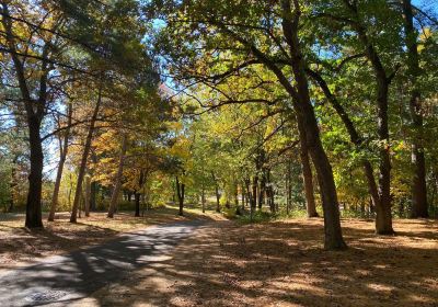 Carson Park