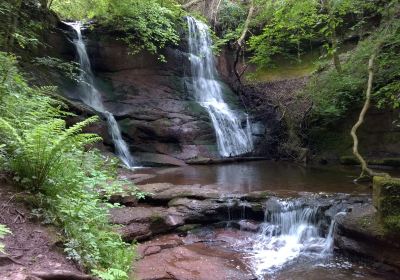 Pwll y Wrach nature reserve