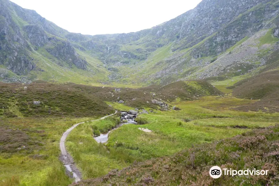 Corrie Fee