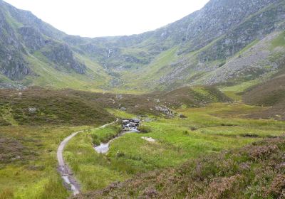 Corrie Fee