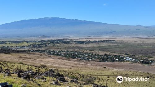 Kohala Mountain Rd