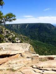 Mogollon Rim