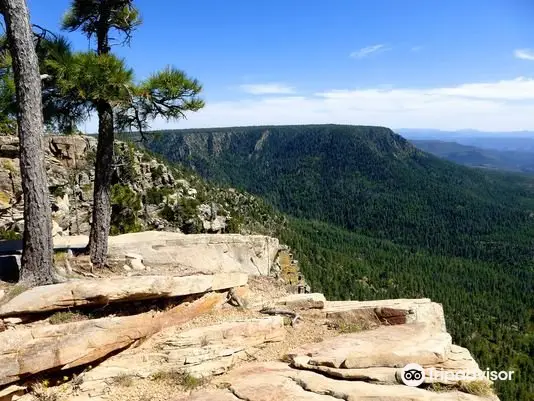 Mogollon Rim