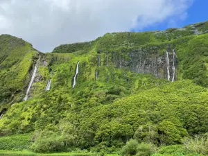 Poco da Ribeira do Ferreiro