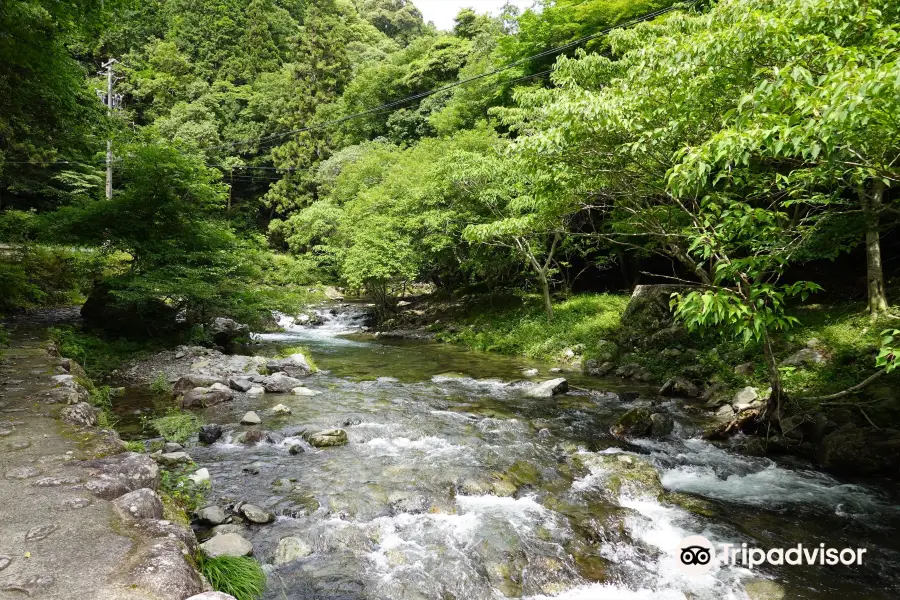 Tado Valley