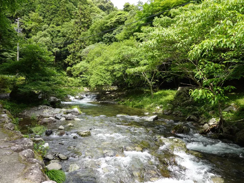 Kuwana