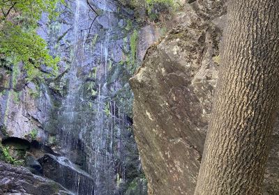 Cascada de Auga Caida