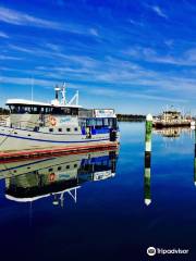 Lonsdale Eco Cruise