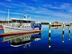 Lonsdale Eco Cruise