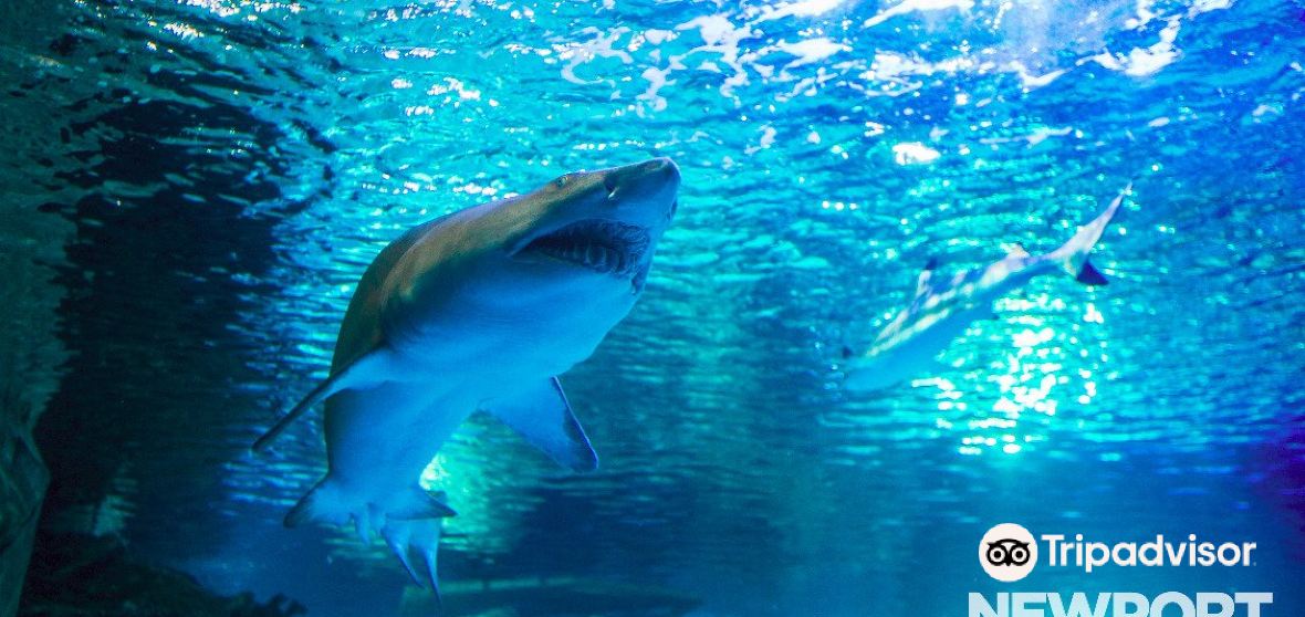 【2024年】ケンタッキー州の人気観光スポット・旅行ガイド・グルメ情報満載