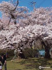 水沢公園