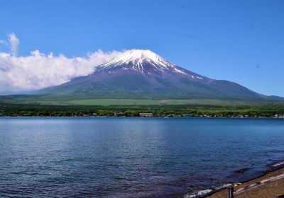 長池親水公園