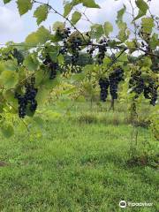 Seven Lakes Vineyard & Winery