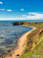 Arbroath to Auchmithie Coastal Path