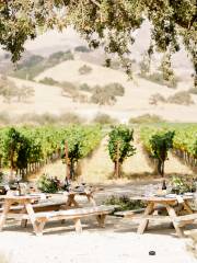 Zaca Mesa Winery