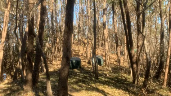 Geoje Maengjongjuk Theme Park