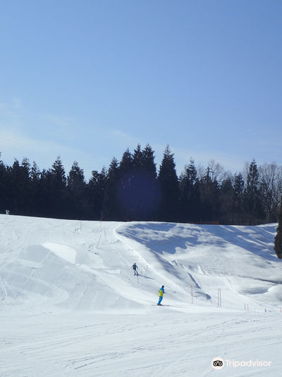 Shinbo Family Ski Area