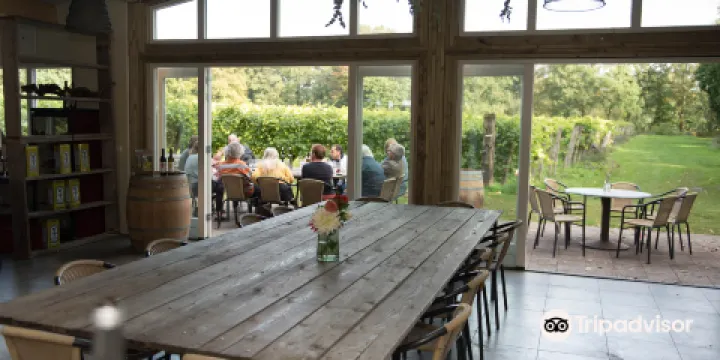 Wijngaard Aan de Breede Beek