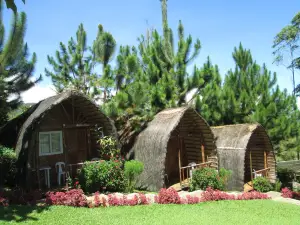 Dahilayan Adventure Park