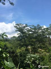 Goroka Natural Habitat