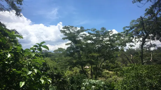 Goroka Natural Habitat