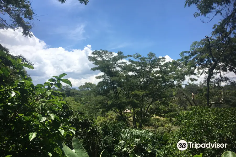 Goroka Natural Habitat