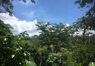 Goroka