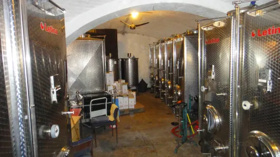 Family winery "Vinik" Vršac