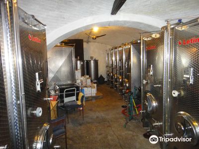 Family winery "Vinik" Vršac