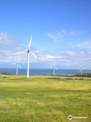 Uehira Green Hill Wind Park